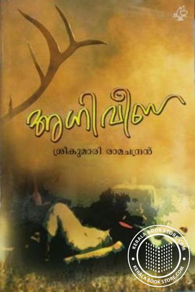 Cover Image of Book അഗ്നിവീണ