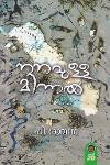 Thumbnail image of Book നനവുള്ള മിന്നൽ