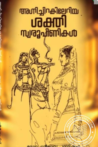 Cover Image of Book അഗ്നിചിറകിലേറിയ ശക്തി സ്വരൂപിണികള്‍