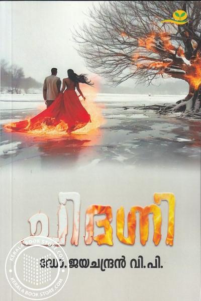 Cover Image of Book ചിദഗ്നി