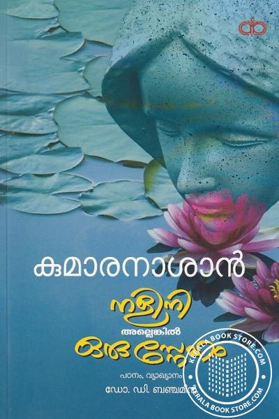 Cover Image of Book നളിനി അല്ലെങ്കിൽ ഒരു സ്നേഹം