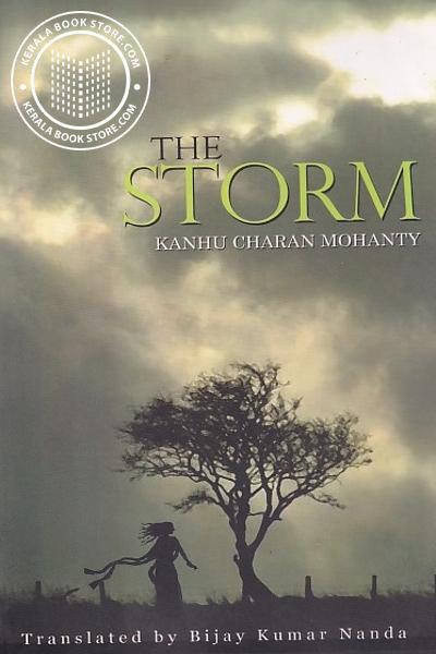 Image of Book The Storm