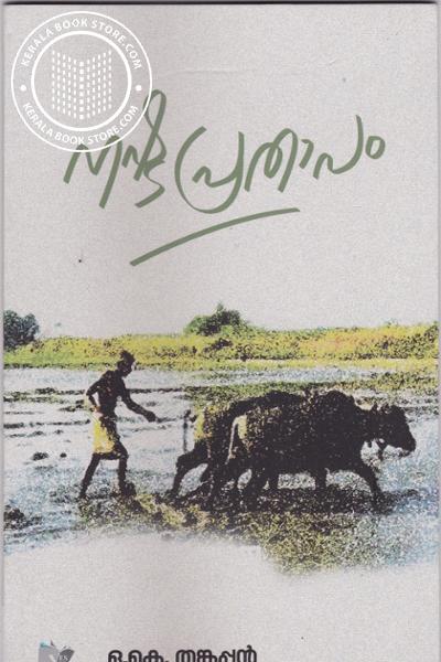 Cover Image of Book നഷ്ടപ്രതാപം